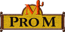 Pro M